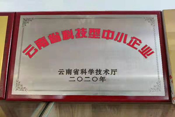 云南省科技型中小企业